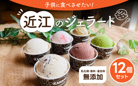 アソート12個セット H.Bコミュニケーションズ合同会社（かなめカフェ） 滋賀県 東近江市 A18 アイスクリーム ジェラート 12個 近江 滋賀