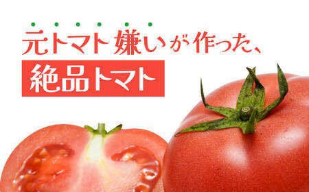 木成り完熟八風とまと（20個入） A07 株式会社八風ファーム 東近江 （ﾄﾏﾄ ﾄﾏﾄ ﾄﾏﾄ ﾄﾏﾄ ﾄﾏﾄ ﾄﾏﾄ ﾄﾏﾄ ﾄﾏﾄ ﾄﾏﾄ ﾄﾏﾄ ﾄﾏﾄ ﾄﾏﾄ ﾄﾏﾄ ﾄﾏﾄ ﾄﾏﾄ ﾄﾏﾄ ﾄﾏﾄ ﾄﾏﾄ ﾄﾏﾄ ﾄﾏﾄ ﾄﾏﾄ ﾄﾏﾄ ﾄﾏﾄ ﾄﾏﾄ ﾄﾏﾄ ﾄﾏﾄ ﾄﾏﾄ ﾄﾏﾄ ﾄﾏﾄ ﾄﾏﾄ ﾄﾏﾄ ﾄﾏﾄ ﾄﾏﾄ ﾄﾏﾄ ﾄﾏﾄ ﾄﾏﾄ ﾄﾏﾄ ﾄﾏﾄ ﾄﾏﾄ ﾄﾏﾄ ﾄﾏﾄ ﾄﾏﾄ ﾄﾏﾄ ﾄﾏﾄ ﾄﾏﾄ 野菜 ﾄﾏﾄ 野菜 ﾄﾏﾄ 野菜 ﾄﾏﾄ 野菜 ﾄﾏﾄ 野菜 ﾄﾏﾄ 野菜 ﾄﾏﾄ 野菜 ﾄﾏﾄ 野菜 ﾄﾏﾄ 野菜 ﾄﾏﾄ 野菜 ﾄﾏﾄ 野菜 ﾄﾏﾄ 野菜 ﾄﾏﾄ 野菜 ﾄﾏﾄ 野菜 ﾄﾏﾄ 野菜 ﾄﾏﾄ 野菜 ﾄﾏﾄ 野菜 ﾄﾏﾄ ﾄﾏﾄ 野菜 ﾄﾏﾄ 野菜 ﾄﾏﾄ 野菜 ﾄﾏﾄ 野菜 ﾄﾏﾄ 野菜 ﾄﾏﾄ 野菜 ﾄﾏﾄ 野菜 ﾄﾏﾄ 野菜 ﾄﾏﾄ 野菜 ﾄﾏﾄ 野菜 ﾄﾏﾄ ﾄﾏﾄ 野菜 ﾄﾏﾄ ﾄﾏﾄ ﾄﾏﾄ ﾄﾏﾄ ﾄﾏﾄ ﾄﾏﾄ ﾄﾏﾄ ﾄﾏﾄ ﾄﾏﾄ ﾄﾏﾄ ﾄﾏﾄ ﾄﾏﾄ ﾄﾏﾄ ﾄﾏﾄ ﾄﾏﾄ ﾄﾏﾄ ﾄﾏﾄ ﾄﾏﾄ ﾄﾏﾄ ﾄﾏﾄ ﾄﾏﾄ ﾄﾏﾄ ﾄﾏﾄ ﾄﾏﾄ ﾄﾏﾄ ﾄﾏﾄ ﾄﾏﾄ ﾄﾏﾄ ﾄﾏﾄ ﾄﾏﾄ ﾄﾏﾄ ﾄﾏﾄ ﾄﾏﾄ ﾄﾏﾄ ﾄﾏﾄ ﾄﾏﾄ ﾄﾏﾄ ﾄﾏﾄ ﾄﾏﾄ ﾄﾏﾄ ﾄﾏﾄ ﾄﾏﾄ ﾄﾏﾄ ﾄﾏﾄ ）