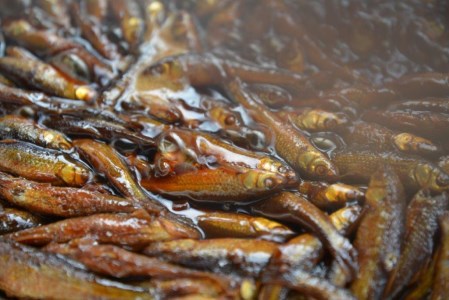 選べる佃煮セット 村井水産有限会社 滋賀県 東近江市 A-C03 佃煮 湖魚 本もろこ ウロリ ご飯のお供 お取り寄せ