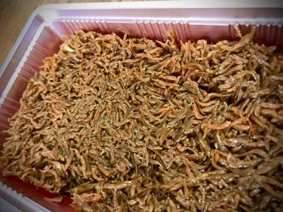 選べる佃煮セット 村井水産有限会社 滋賀県 東近江市 A-C03 佃煮 湖魚 本もろこ ウロリ ご飯のお供 お取り寄せ