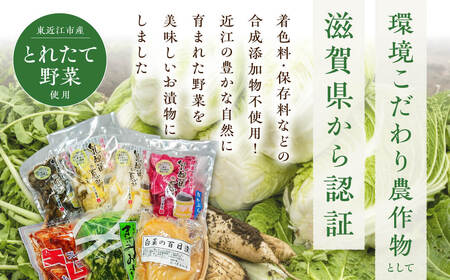 近江農産の東近江漬物詰め合わせ　合計1.1kg　O-I04　農事組合法人近江農産組合 東近江