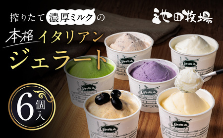 イタリアン ジェラート ミニカップ 詰め合わせ 6個入り 池田牧場 滋賀県 東近江市 O-I16 ジェラート アイス 牧場 朝搾り 牛乳 無添加 スイーツ 贈り物 ギフト