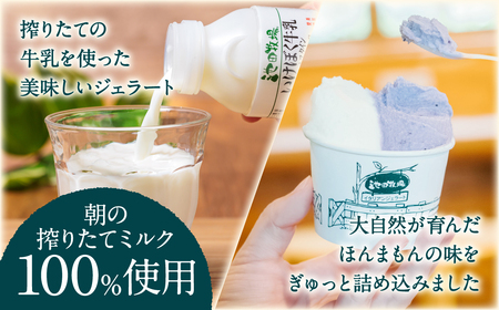 イタリアン ジェラート ミニカップ 詰め合わせ12個入り 有限会社池田牧場 滋賀県 東近江市 A-E29 ジェラート アイス ミルク 牛乳 牧場 濃厚 素材の味 カップ