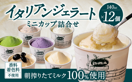 イタリアン ジェラート ミニカップ 詰め合わせ12個入り 有限会社池田