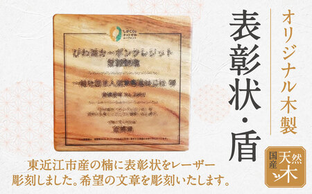 表彰状　盾　B-E08　一般社団法人木づかいプロジェクト 東近江