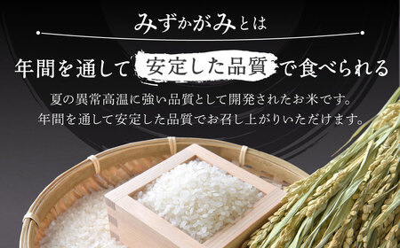 令和6年新米】 滋賀県東近江市産環境こだわり米みずかがみ５ｋｇ A-B22 あいとうマーガレットステーション 東近江 お米 お米 お米 お米 お米  お米 お米 お米 お米 お米 お米 お米 お米 お米 お米 お米 お米 お米 お米 お米 お米 お米 お米 お米 お米 お米 お米