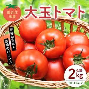 トマト とまと 東近江市産 大玉トマト 4kg A-C13 あいとうマーガレットステーション 東近江 ひがしおうみ とまと トマト