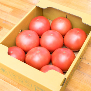 トマト とまと 東近江市産 大玉トマト 4kg A-C13 あいとうマーガレットステーション 東近江 ひがしおうみ とまと トマト
