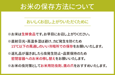 近江永源寺米コシヒカリ 計8kg 株式会社カネキチ 滋賀県 東近江市 C10 米 コシヒカリ 8kg こしひかり 白米 精米 近江米 滋賀県産 永源寺米
