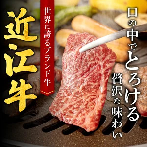 近江牛ロースすき焼き用1kg　E-G03　肉の大助  東近江
