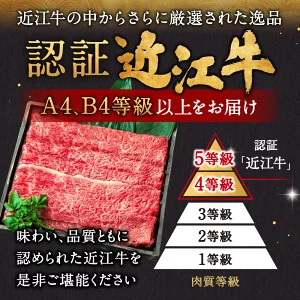 近江牛ロースすき焼き用1kg　E-G03　肉の大助  東近江