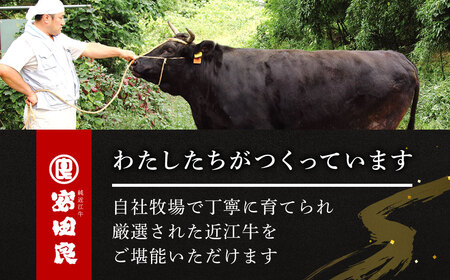 【近江牛 切り落とし】近江牛 切り落とし こま肉 500g 黒毛和牛 切り落し 和牛 国産 近江牛 和牛 近江牛 ブランド牛 和牛 近江牛 三大和牛 牛肉 和牛 近江牛 冷凍 贈り物 和牛 近江牛 ギフト 和牛 近江牛 プレゼント 和牛 近江牛 黒毛和牛 A-B16 安田牧場 東近江