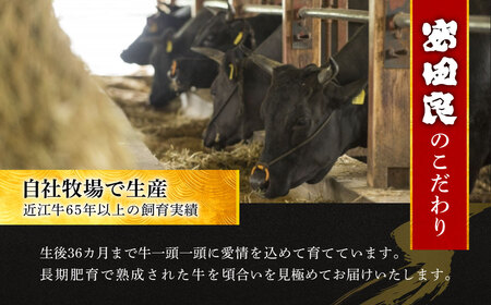 【牛肉　１kgブロック】近江牛　ロースブロック肉　１kg　E-H02　安田牧場 東近江