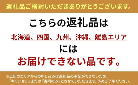 【本州限定】滋賀県オリジナルいちご「みおしずく」 果物 フルーツ デザート おやつ 甘い 酸味 とろける やわらかい
