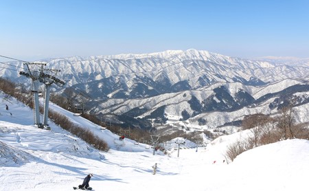 リフト券 滋賀県 グランスノー奥伊吹 1日リフト券 チケット スキー場 スキー リフト アウトドア 