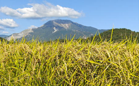 日本酒 純米吟醸 花乃伊吹 2本 お酒 酒 地酒佐藤酒造 芳醇