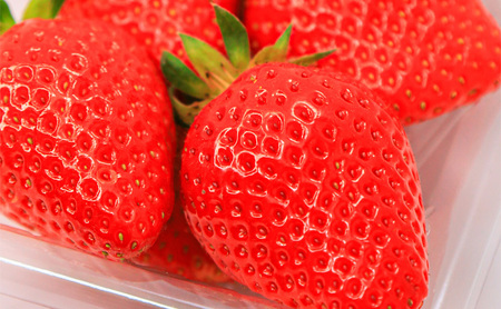 川瀬農園のいちご食べ比べセット　4パック（紅ほっぺ・かおり野　各2P）