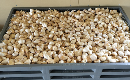 五代目新吾郎(熟成黒ニンニク) 2パック