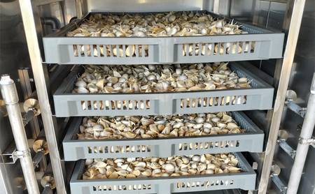 五代目新吾郎(熟成黒ニンニク) 2パック