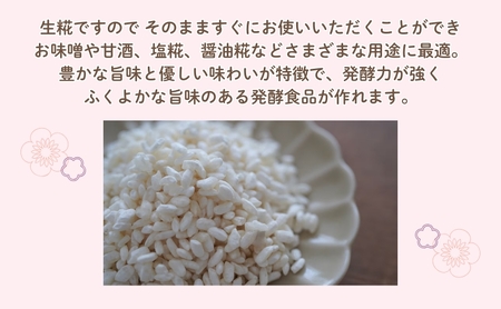 「まんまる日和」の生糀 1kg 米麹 こうじ 近江米コシヒカリ