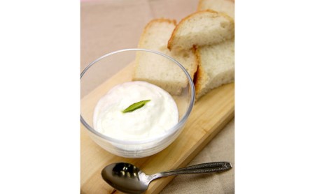 伊吹ヨーグルト(プレーン)450g×5ヶ入 乳製品 加工食品