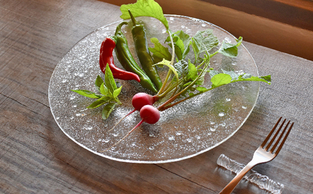 ガラス皿のお皿 1枚 大皿 ガラス皿 皿 お皿 プレート ガラス 食器