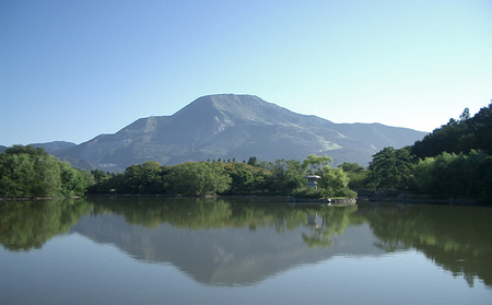 石鹸 かくとだに ハーブ石鹸 美容 せっけん 石けん ボディソープ 洗顔 固形 ハンドソープ