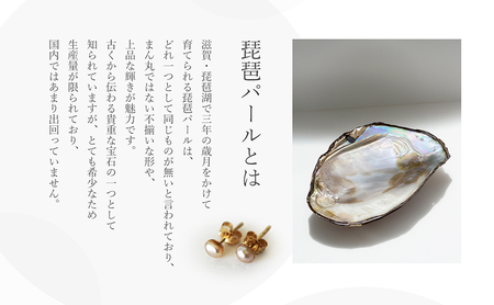 ピアス 琵琶パール 一粒 スタッズ ハンドメイド アクセサリー パールピアス 滋賀県 米原市