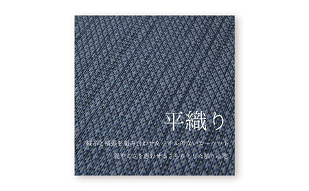 吸着 パネル カーペット　テキスタイルフロア7000　涼織　FF7002＜しろちゃ 10枚セット＞ 【カーペット】