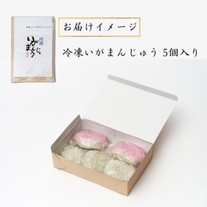 冷凍いがまんじゅう 5個入り 和菓子 菓子 饅頭 まんじゅう 銘菓 お茶菓子 冷凍