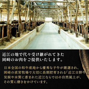 近江牛 切り落とし 400g 牛肉 OZ004