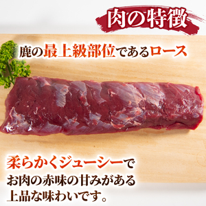 鹿肉 ロース 500g 冷凍 ジビエ