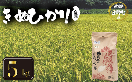 令和7年産 米 キヌヒカリ 5kg 白米 【KW001】 近江米 精米