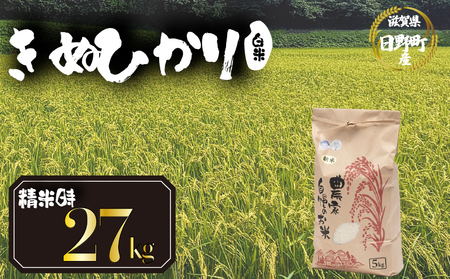 【 令和7年産 米 27kg 】 きぬひかり 白米