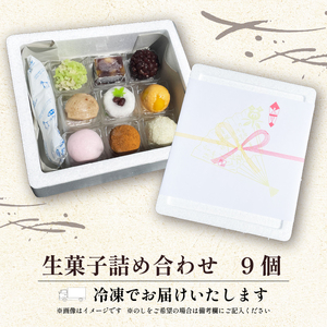 生菓子 9個 冷凍 詰め合わせ お菓子 おやつ スイーツ