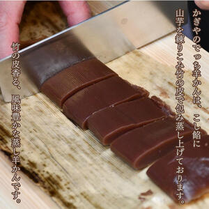 一口でっち羊羹　御店行き　14本入り 羊かん 和菓子 ギフト スイーツ お茶菓子 小分け 個包装 銘菓 山芋