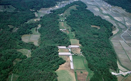 近江牛 しゃぶしゃぶ用 450g 近江牛 近江牛 近江牛 近江牛 近江牛