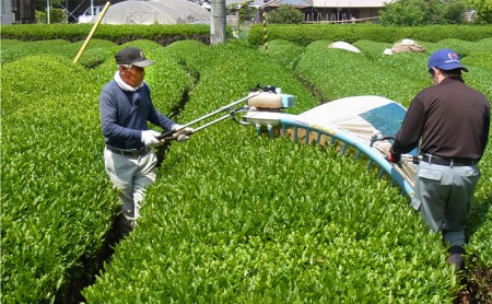 満田製茶 強火焙煎あぶり番茶と番茶 日野の里セット | 滋賀県日野町 | ふるさと納税サイト「ふるなび」