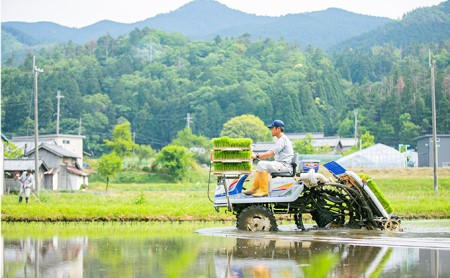 【令和5年産】日野町産 特別栽培米 コシヒカリ ・ にこまる 各5kg（計10kg）セット