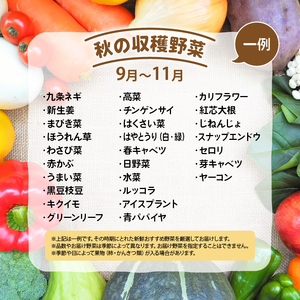 【定期便】道の駅 竜王 かがみの里 旬の野菜セット 全3回