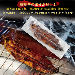 【6ヶ月定期便】 国産 うなぎの白焼・蒲焼セット 約150g×2尾 タレ付 ( うなぎ タレ付 冷凍 丑の日                                                                                                 