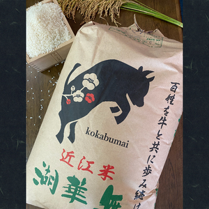 令和6年産 新米 農家自慢のお米 コシヒカリ 精米 約27kg ( 2024年産 白米 お米 産地直送 農家直送 送料無料 滋賀県 竜王町 ふるさと納税 )