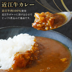 近江牛 カレー 160g×6袋セット ( 黒毛和牛 カレー 牛肉 カレー 960g レトルト カレー 肉 ギフト 自宅用 カレー 黒毛和牛 カレー 国産 カレー ふるさと納税 カレー ブランド牛 三大和牛 カレー 和牛 カレー 贈り物 カレー 内祝い カレー 滋賀県 竜王町 澤井牧場 送料無料 )