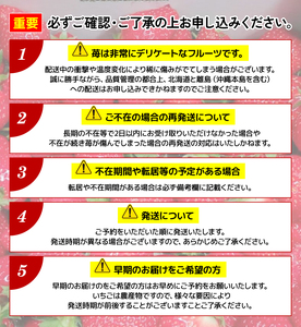 いちご おまかせ 270g × 4パック 計 1080g 章姫 紅ほっぺ よつぼし かおり野 みおしずく はるひ すず あまえくぼ おいCベリー 苺 旬 産地 直送 フレッシュ イチゴ フルーツ 果物 国産 小分け ベリー 2025年1月より順次発送予定 滋賀県 竜王町 人気苺 ふるさと納税苺 ふるさと苺 furusato苺 おすすめ苺 送料無料