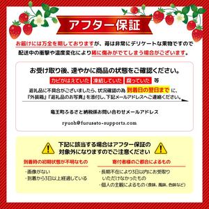 いちご おまかせ 270g × 2パック 計 540g 章姫・紅ほっぺ よつぼし かおり野 みおしずく はるひ すず あまえくぼ おいCベリー 苺 旬 産地 直送 フレッシュ イチゴ フルーツ 果物 国産 小分け ベリー 2025年1月より順次発送予定 滋賀県 竜王町 人気苺 ふるさと納税苺 ふるさと苺 furusato苺 おすすめ苺 送料無料