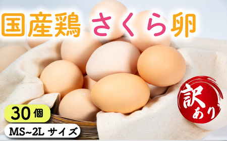 卵 30個 ( たまご 25個 + 割れ補償 5個 ) 国産 鶏 さくら 簡易包装 コクのある 濃い 風味 とれたて 生たまご 滋賀 地産地消 の 飼料米 玉子 産みたて 国産 新鮮 卵かけご飯 大容量 生 卵 鶏 天然 すき焼き 目玉 焼き 滋賀県 竜王町玉子 鶏卵 生卵 産地直送 卵卵卵卵卵卵卵卵卵卵卵卵卵卵卵卵卵卵卵卵卵卵卵卵卵卵卵卵卵卵卵卵卵卵卵卵卵卵卵卵卵卵卵卵卵卵卵卵卵卵卵卵卵卵卵卵卵卵卵卵卵卵卵卵卵卵卵卵卵卵卵卵卵卵卵卵卵卵卵卵卵卵卵卵卵卵卵卵卵卵卵卵卵卵卵卵卵卵卵卵卵卵卵卵卵卵卵卵卵卵卵卵卵卵卵卵卵卵卵卵卵卵卵卵卵卵卵卵卵卵卵卵卵卵卵卵卵卵卵卵卵卵卵卵卵卵卵卵卵卵卵卵卵卵卵卵卵卵卵卵卵卵卵卵卵卵卵卵卵卵卵卵卵卵卵卵卵卵卵卵卵卵卵卵卵卵卵卵卵卵卵卵卵卵卵卵卵卵卵卵卵卵卵卵卵卵卵卵卵卵卵卵卵卵卵卵卵卵卵卵卵卵卵卵卵卵卵卵卵卵卵卵卵卵卵卵卵卵卵卵卵卵卵卵卵卵卵卵卵卵卵卵卵卵卵卵卵卵卵卵卵卵卵卵卵卵卵卵卵卵卵卵卵卵卵卵卵卵