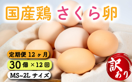 定期便 卵 30個 ( たまご 25個 + 割れ補償 5個 ) 12回 12ヶ月 定期便 国産 鶏 さくら 簡易包装 コクのある 濃い 風味 とれたて 生たまご 滋賀 地産地消 の 飼料米 玉子 産みたて 国産 新鮮 卵かけご飯 大容量 生 卵 鶏 天然 すき焼き 目玉 焼き 滋賀県 竜王町 玉子 鶏卵 生卵 産地直送                                                            