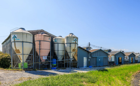 定期便 卵 30個 ( たまご 25個 + 割れ補償 5個 ) 12回 12ヶ月 定期便 国産 鶏 さくら 簡易包装 コクのある 濃い 風味 とれたて 生たまご 滋賀 地産地消 の 飼料米 玉子 産みたて 国産 新鮮 卵かけご飯 大容量 生 卵 鶏 天然 すき焼き 目玉 焼き 滋賀県 竜王町 玉子 鶏卵 生卵 産地直送                                                            