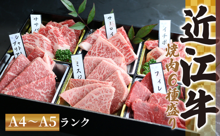 近江牛 焼肉 特上 盛り合わせ 480g 冷凍 シャトーブリアン ( 近江牛 サーロイン フィレ ヘレ 希少部位 ミスジ クラシタ イチボ ヒウチ ササバラ ラムシン 等 赤身  近江牛 黒毛 ブランド 牛肉 近江牛 贈り物 ギフト 国産