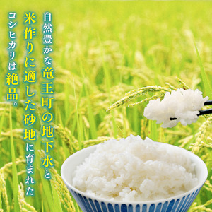 【 令和7年産 】 コシヒカリ 特別栽培米 白米 10kg こしひかり